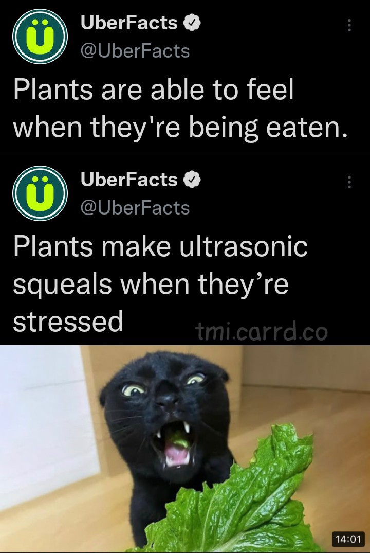 Ownmates Post